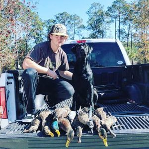 Meet your Posher, Ricky